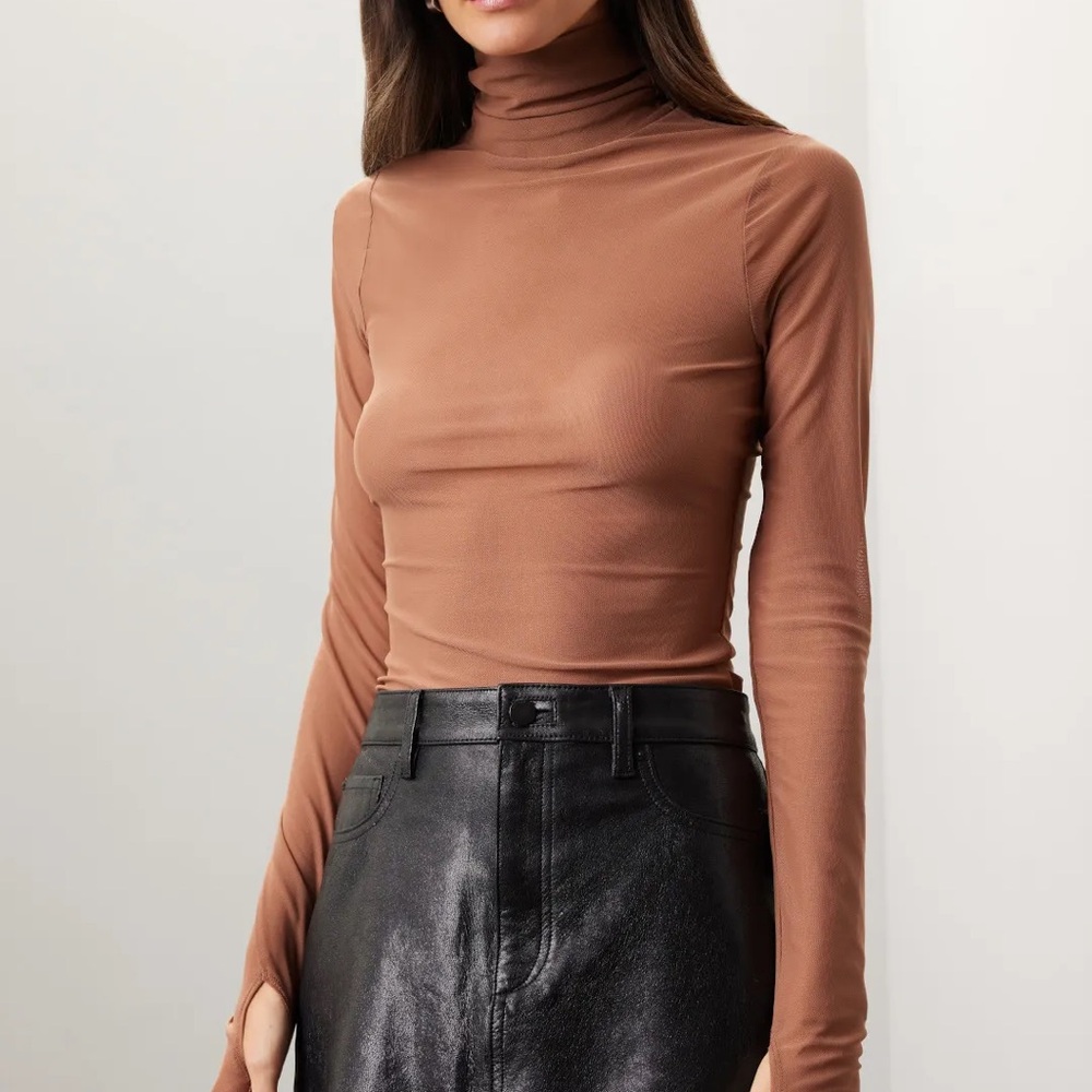 Brown Mesh Turtleneck Long Sleeve Top
